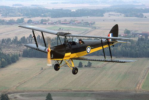 Tiger Moth